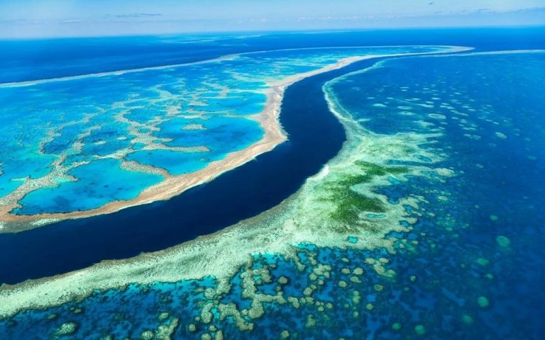 The World's Largest Coral Reef, Great Barrier Reef 3 buyuk set resifi