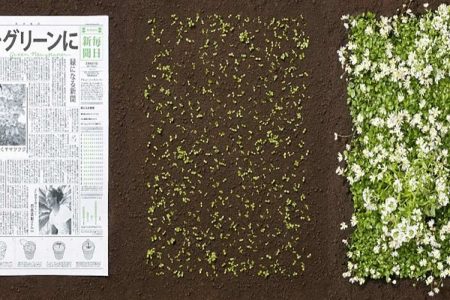 Japanese Newspaper Turned into Plants! 13 bitkiye donusen gazete