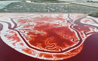 Alviso Salt Ponds, a Unique Wonder of Nature 20 Alviso Tuz Goletleri1.webp