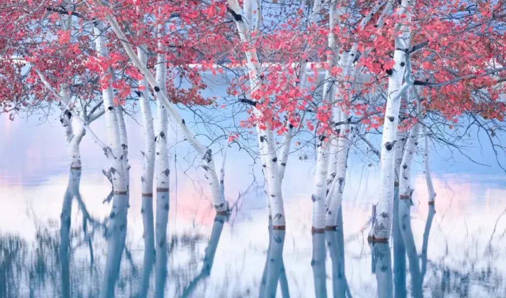 Winners of the 2023 International Landscape Photographer of the Year Competition 1 Kazanan Yilin Uluslararasi Manzara Fotografi. Blake Randall Kanada 1024x682.webp