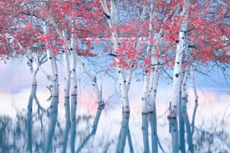 Winners of the 2023 International Landscape Photographer of the Year Competition 13 Kazanan Yilin Uluslararasi Manzara Fotografi. Blake Randall Kanada 1024x682.webp