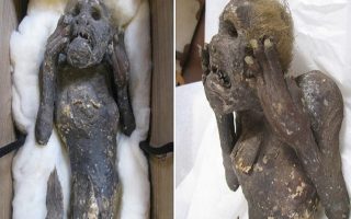 The Secret of the 300-Year-Old Mermaid Mummy Uncovered in Japan! 12 deniz kizi mumyasi 1