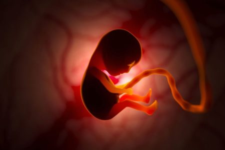 A Worldwide First: 'Mini Organs' Were Produced from Human Amniotic Fluid! 11 Insan Amniyotik Sivisindan Mini Organlar 1024x675