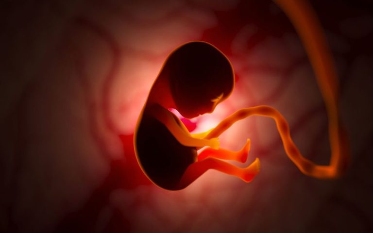 A Worldwide First: 'Mini Organs' Were Produced from Human Amniotic Fluid! 177 Insan Amniyotik Sivisindan Mini Organlar 1024x675