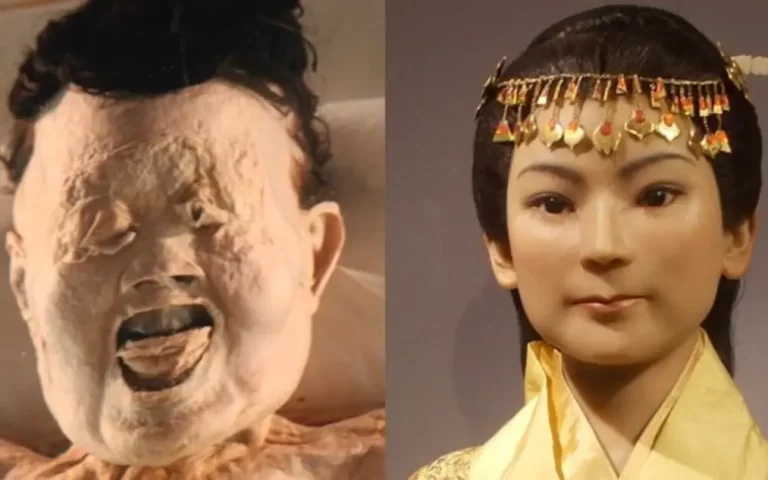The Mystery of Lady Dai, the 2000-Year-Old Mummy, Cannot Be Solved! There Is Still Blood in Her Veins! 157 Lady Dai2.webp