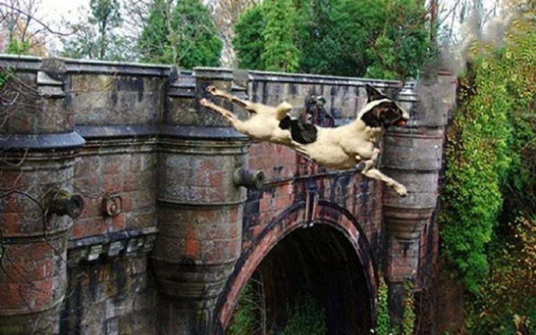 The 10 Creepiest Places in the World Filled with Unsolved Paranormal Events! 167 overtoun koprusu 1024x683