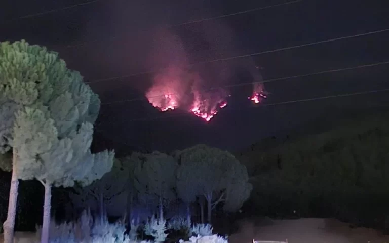 Forest Fire in Denizli is on its Fifth Day: The Fight Continues! 91 Denizlideki Orman Yangini2 1024x576.webp