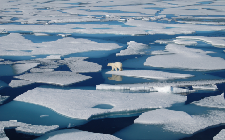What Happens If Glaciers Melt? Which Countries and Cities Will Be Deleted from the Earth? 63 buzullar eridiginde sular altinda kalacak ulkeler4 1024x642
