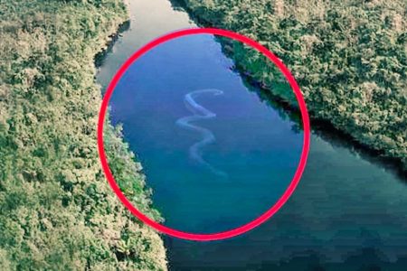 Unexplained Discoveries Deep in the Amazon Jungle – 2 11 yacumama1 1024x576