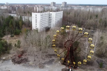 Fungus Feeding on Radiation Found in Chernobyl! Potential for Use in Space and Environmental Cleaning! 41 Cernobil mantari4.webp