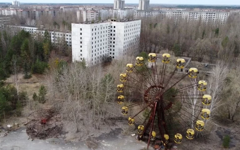 Fungus Feeding on Radiation Found in Chernobyl! Potential for Use in Space and Environmental Cleaning! 29 Cernobil mantari4.webp