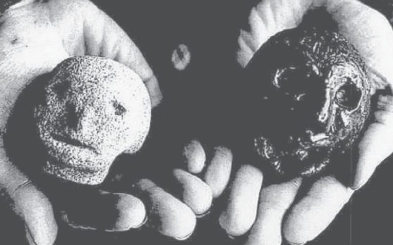 Hexham Heads: Mysterious Events Begin with Cursed Stones! 121 Hexham Kafalari 1024x683