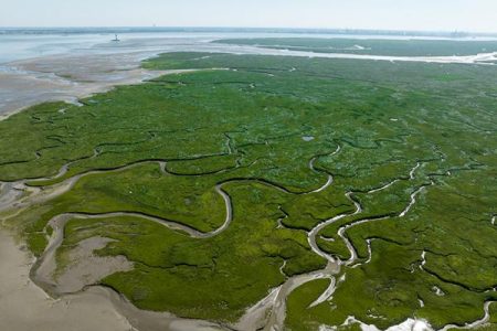 The Legendary Disappearance of Saeftinghe: The City Buried in the Swamp Because It Captured the Mermaid! 81 Saeftinghenin Efsanevi Yok Olusu1