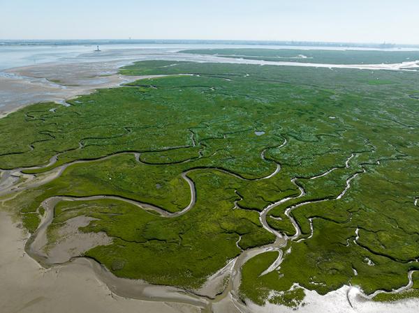 The Legendary Disappearance of Saeftinghe: The City Buried in the Swamp Because It Captured the Mermaid! 1 Saeftinghenin Efsanevi Yok Olusu1