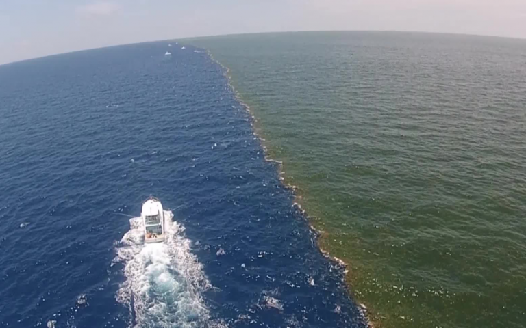Mysterious Boundaries of the Oceans: Do the Waters Really Don't Mix? 179 Atlas ve Pasifik Okyanusunda Birlesen Sular Birbirine Karismiyor mu1