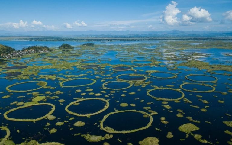 Loktak Lake: The World's Most Extraordinary Floating National Park! 129 loktak golu 1024x683