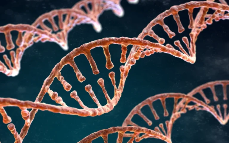 Epigenetik hafiza 1024x683.webp