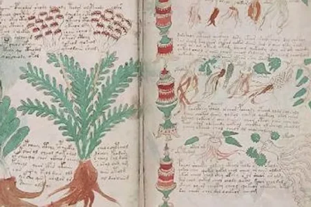 The most dangerous books in the world that should not be read! 43 voynich7.webp
