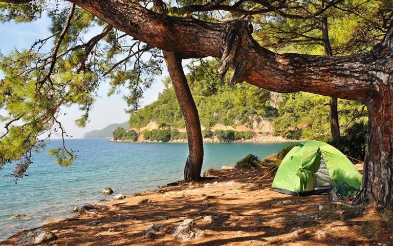 15 Camping Locations in Muğla – Free and Paid Options 180 Akyaka Orman Kampi