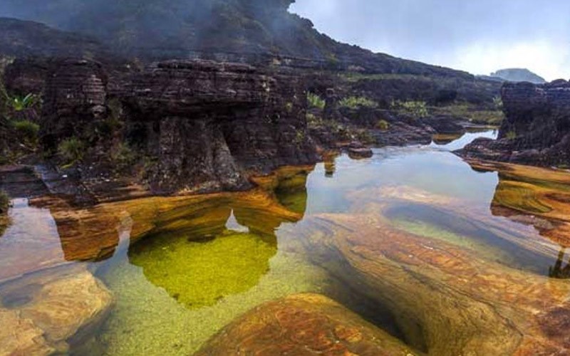 Interesting Discoveries in the Lost World of Roraima 2 zirveee