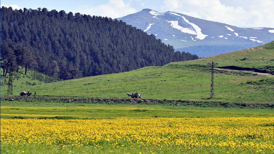 Türkiye’de İlkbaharda Mutlaka Görülmesi Gereken 11 Yer