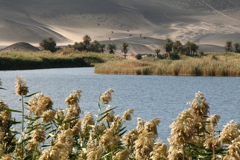 Unusual Formation in the Middle of the Desert, Mosquito Crater 12 waw an namus7