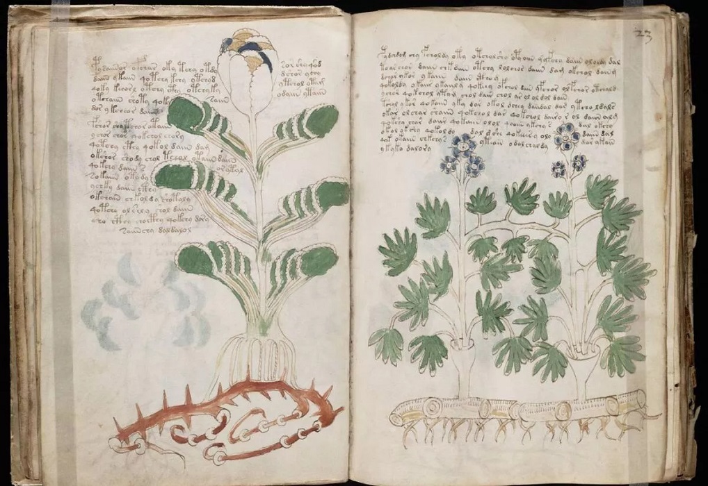 voynich