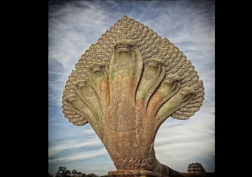 Wonderful Beauties of the World and Interesting Facts 38 naga