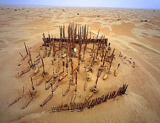 Farming Mummies and Miss Lolan's Secret 2 tarim havzasi