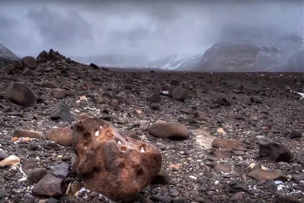McMurdo Kuru Vadileri