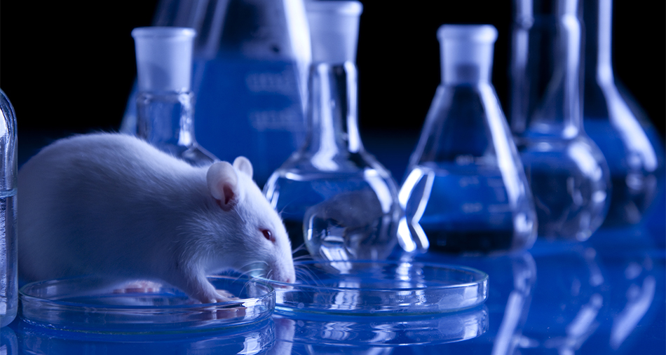 US Scientists Developed a Medicine That Has Sports Effects! 3 Bilimsel Calismalar ve Deneyler