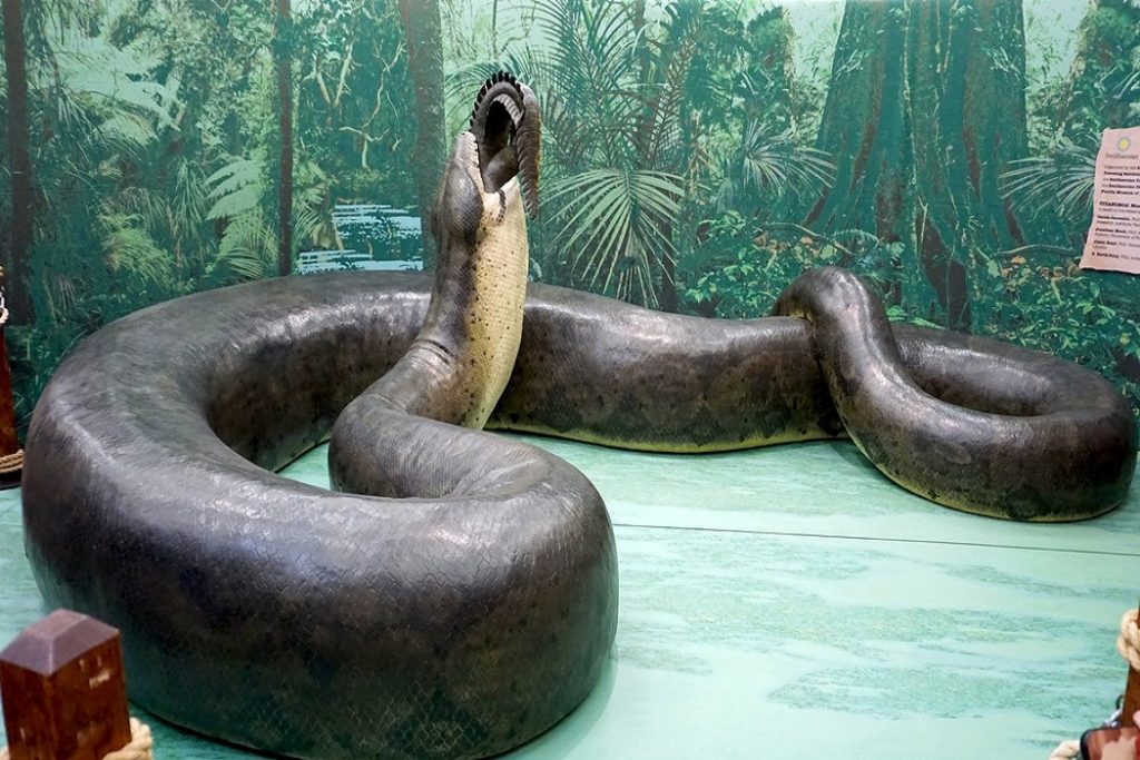 Titanoboa