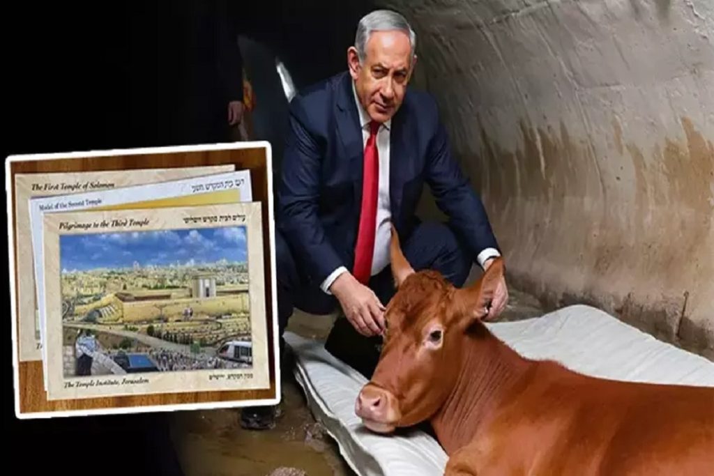 Netanyahu'nun kızıl inek