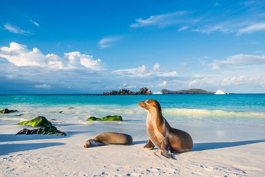 galapagos adaları