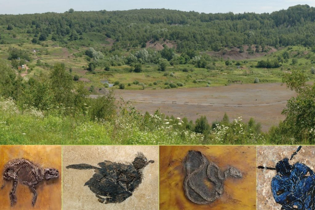 Messel Çukuru