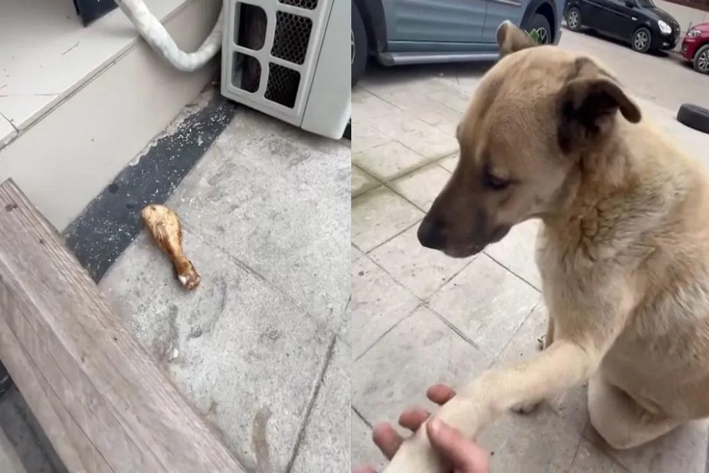 5 Yıldır Kendisine Bakan Esnafa Pişmiş Tavuk Getirdi