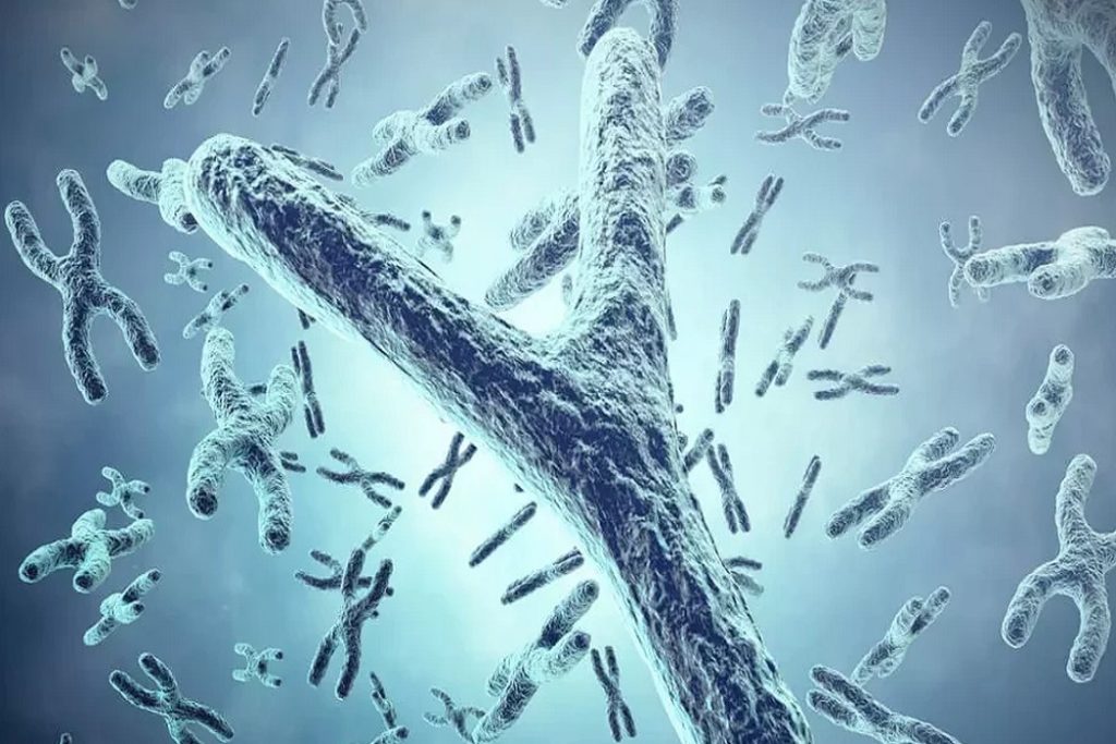 Y Kromozomu Çöküyor mu? Ünlü Biyologdan “Erkekler Yok Olabilir” Uyarısı